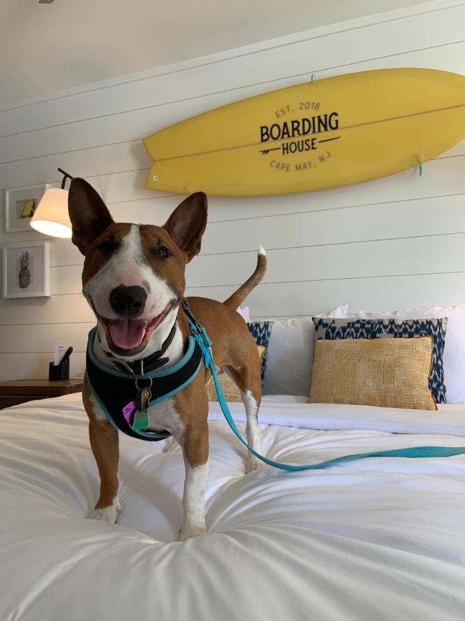Boarding House Cape May Ngoại thất bức ảnh