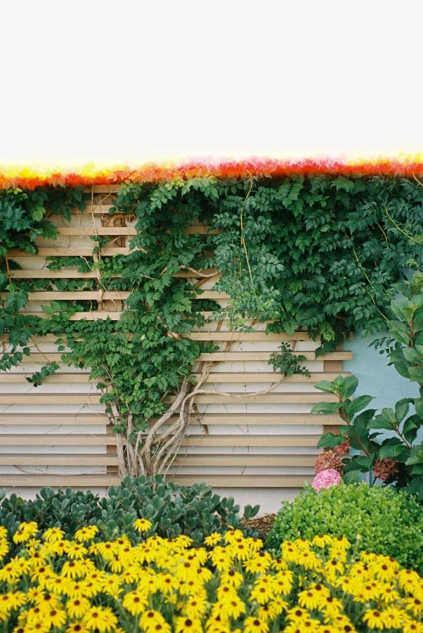 Boarding House Cape May Ngoại thất bức ảnh